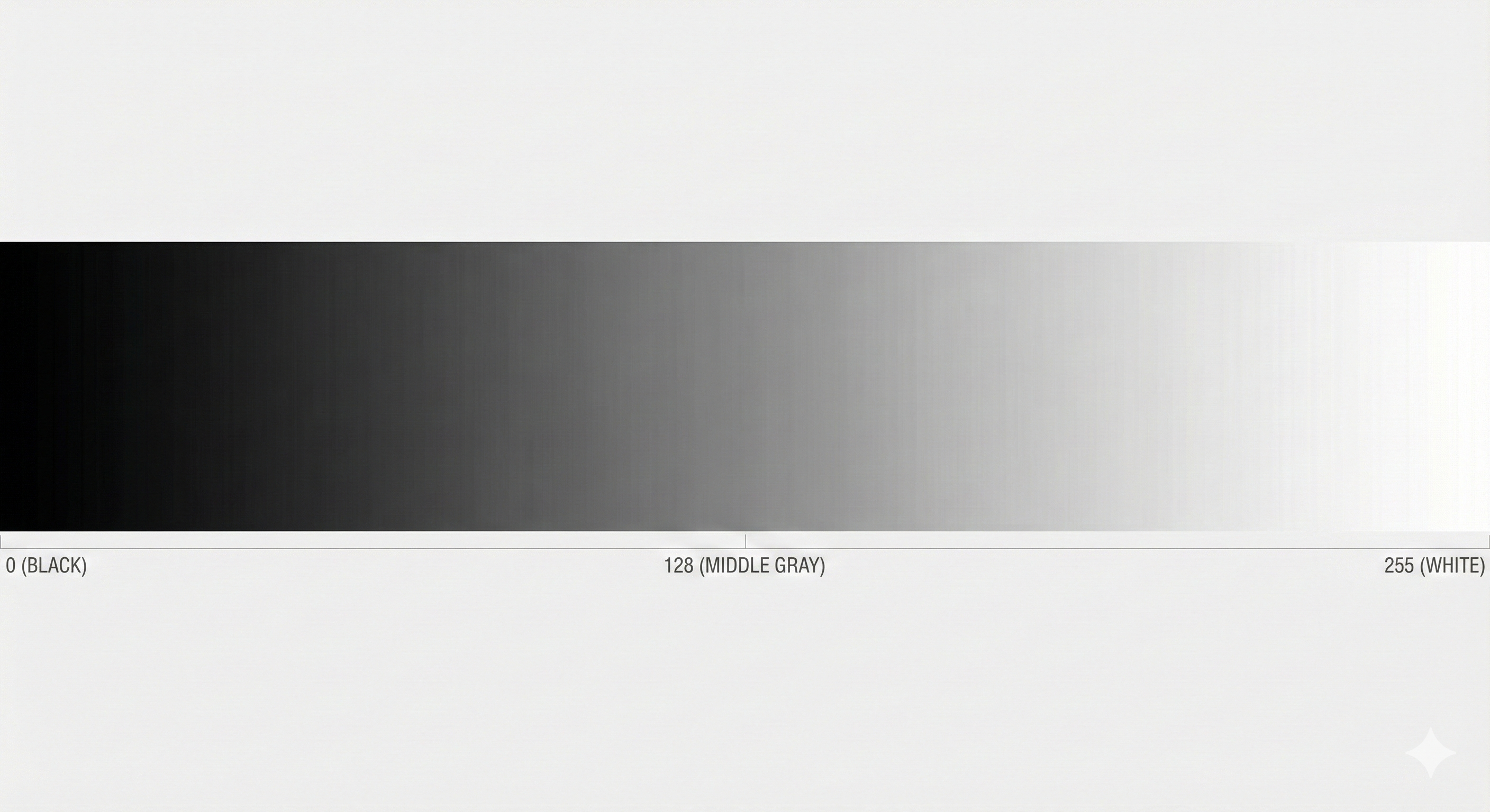 bg fit