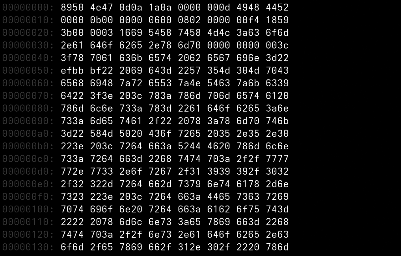 bg fit