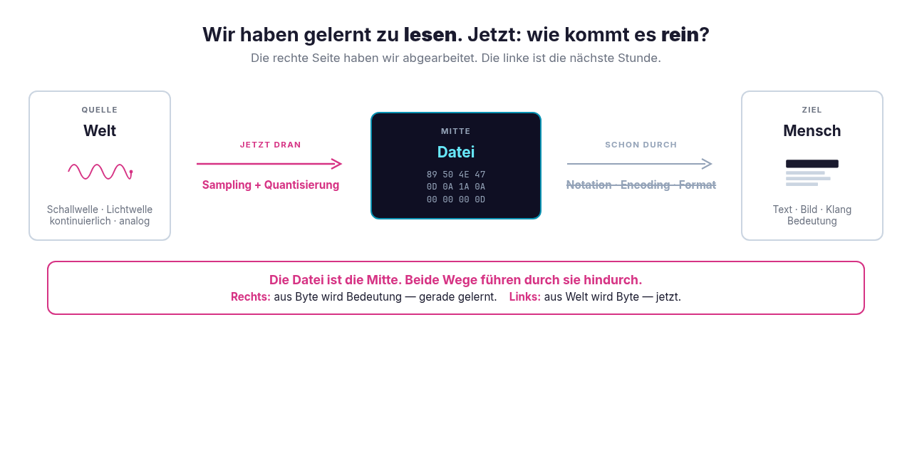 bg fit