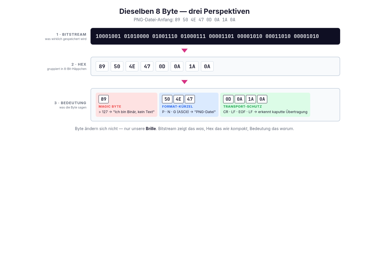 bg fit
