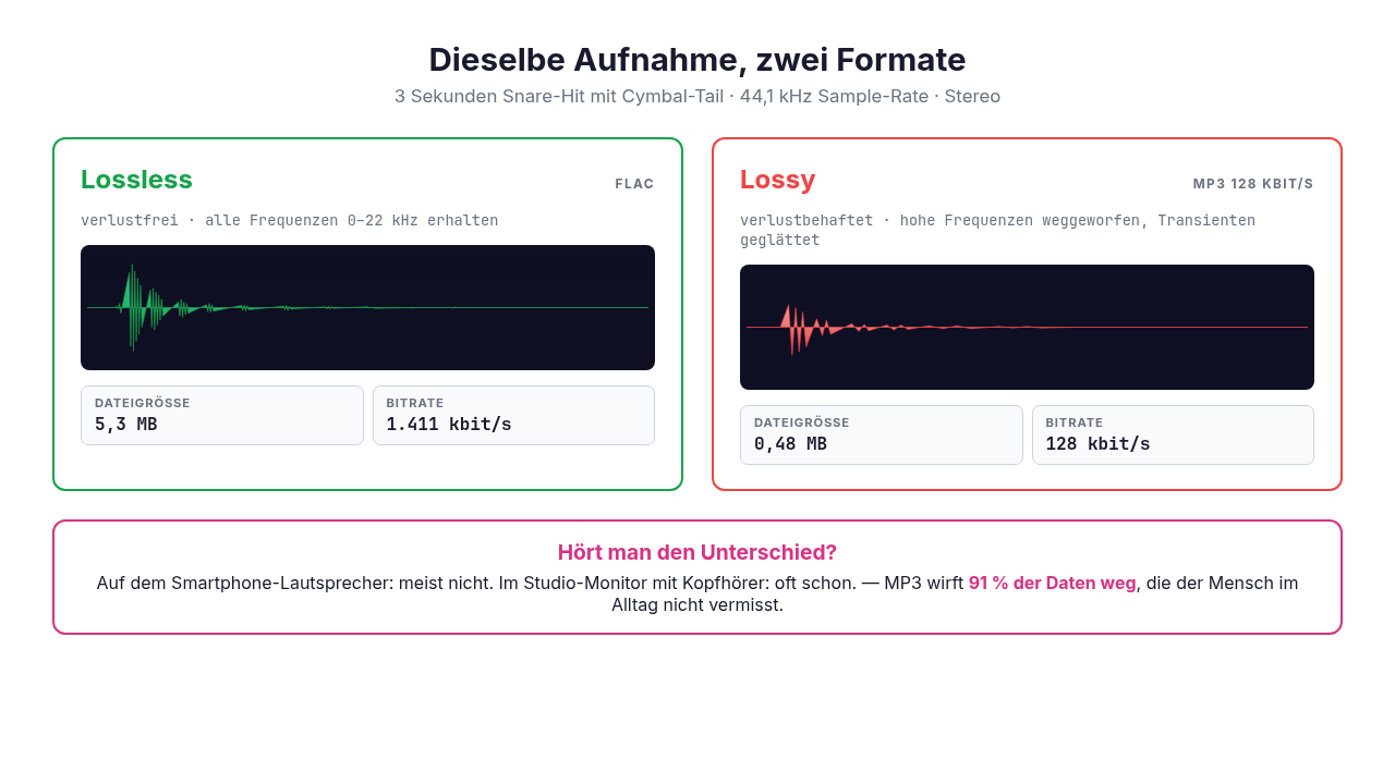 bg fit