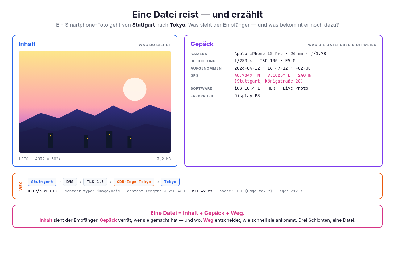 bg fit