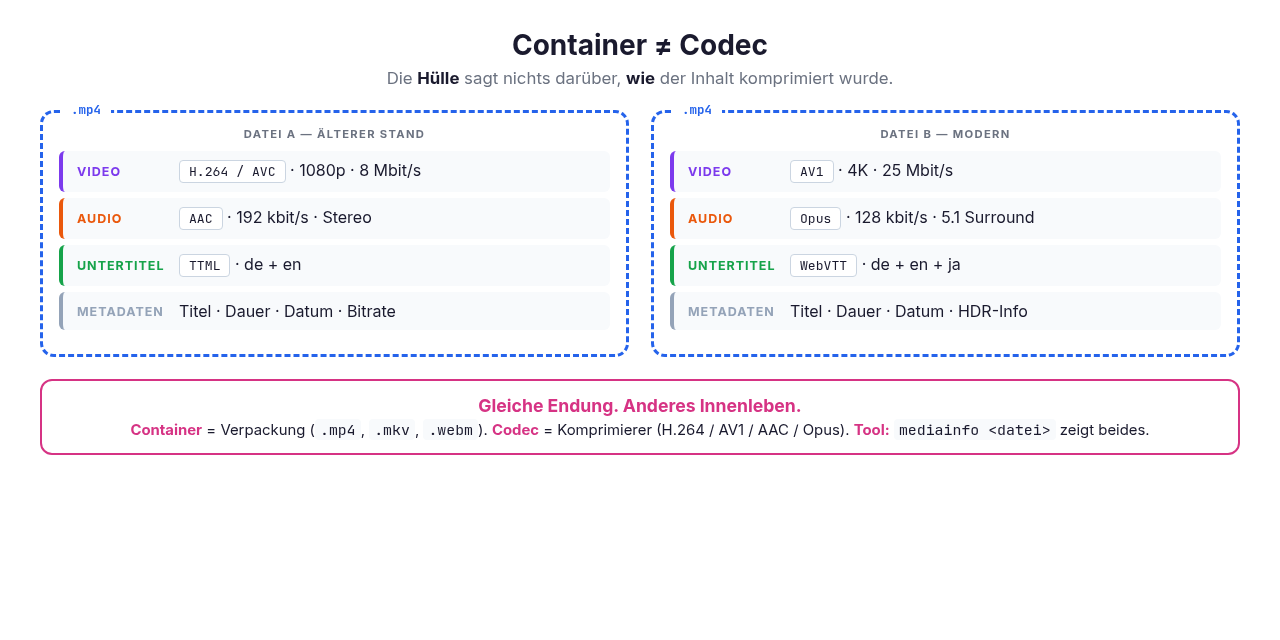 bg fit