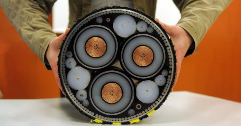 bg fit