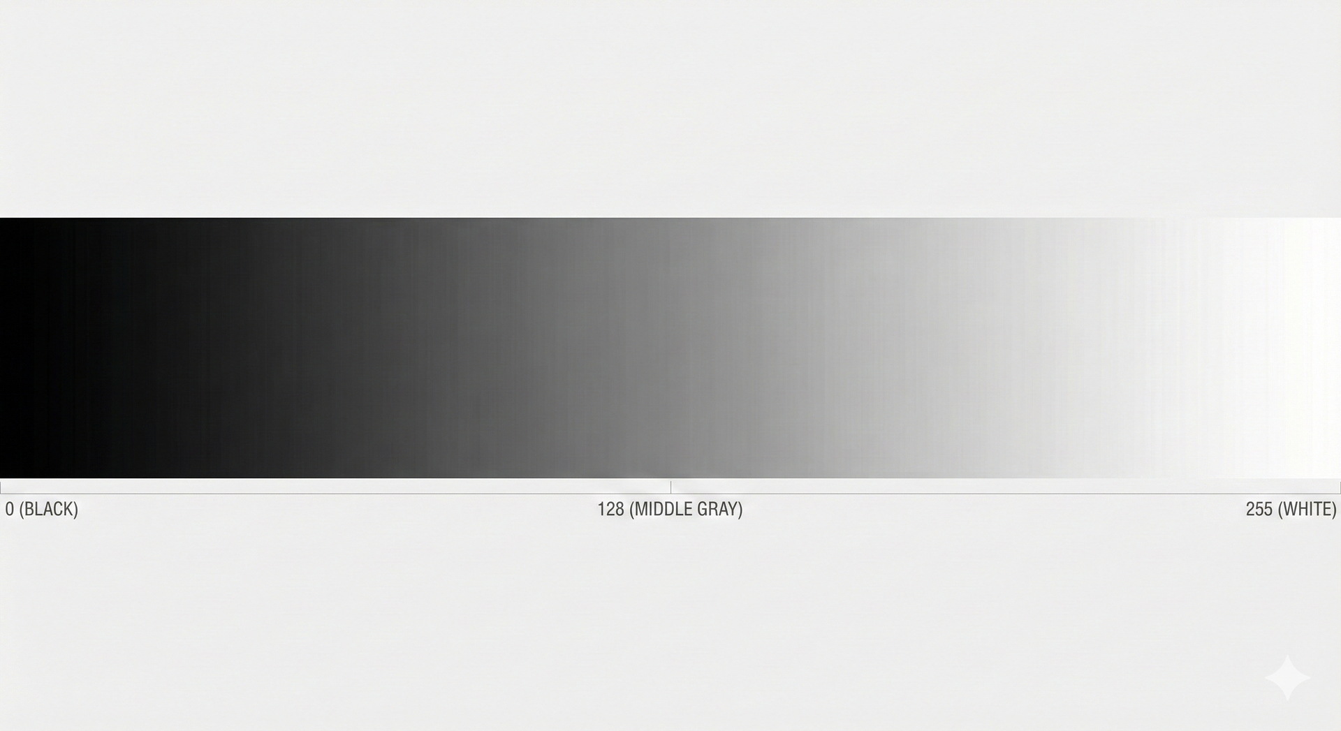 bg fit